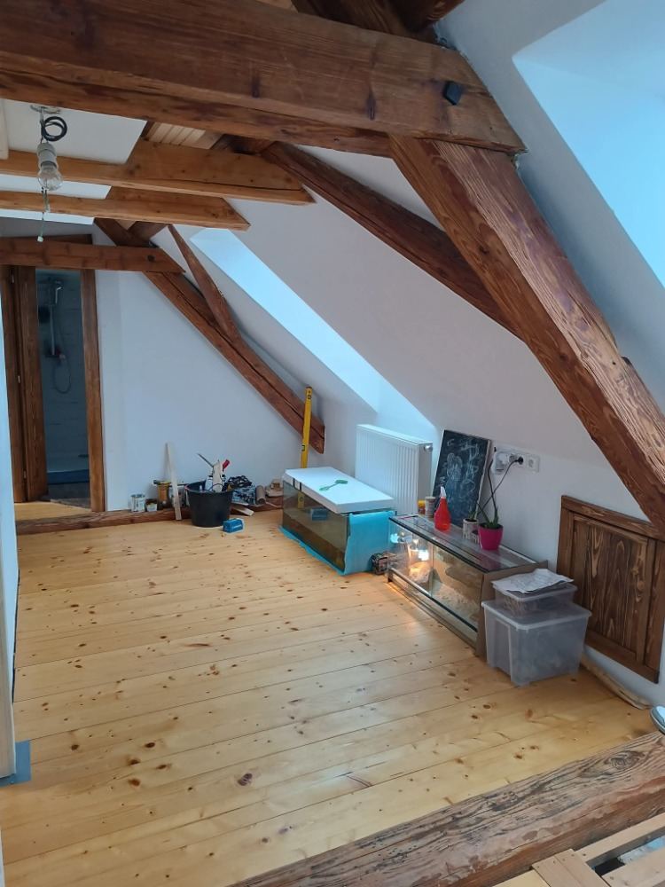 Rekonstrukce podkroví s přiznaným krovem